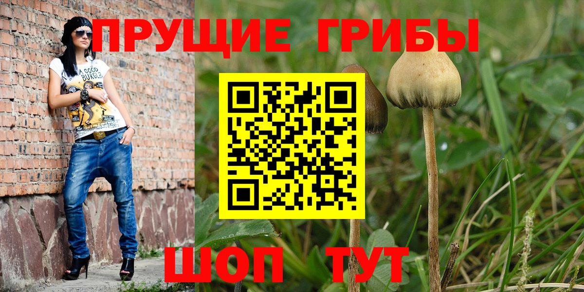 Сибай  Метамфетамин  Бошки Шишки  Вход с VPN  Гашиш  Меф кристаллы 