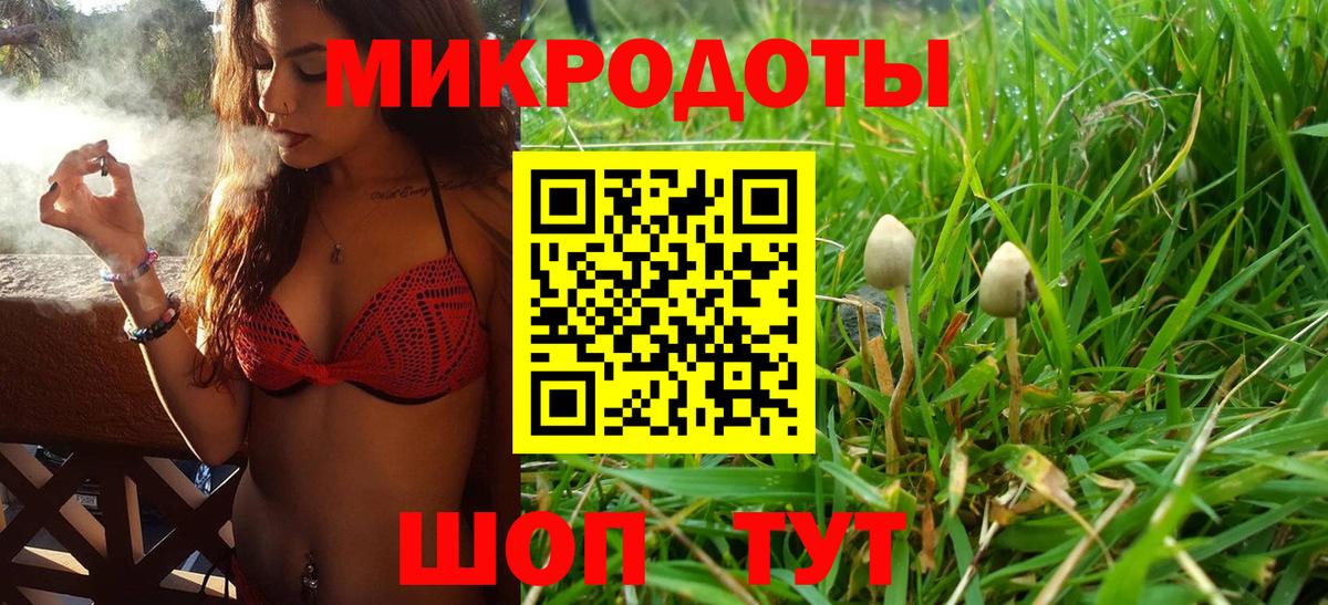 Галлюциногенные грибы мухоморы Сибай