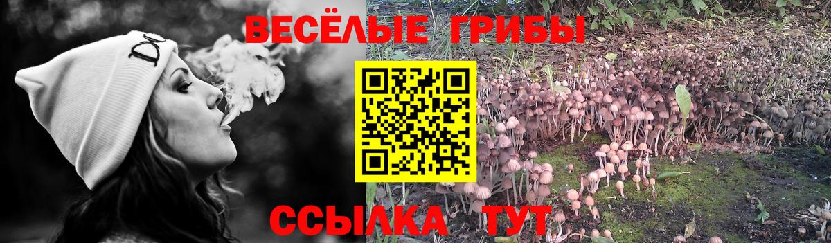Галлюциногенные грибы мухоморы  Псилоцибиновые грибы Cubensis  Сибай  Вход с VPN 